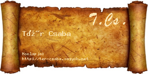Tér Csaba névjegykártya